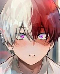 Todoroki Shoto