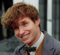 Newt scamander 