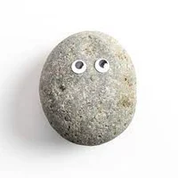 a rock