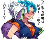 Vegito and Zamasu