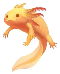 Axolotl of Knowledge