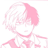 Shoto Todoroki