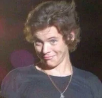 Harry Styles 