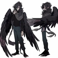 Harpy Crow