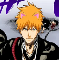 Catboy Ichigo