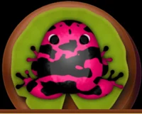 Violet Picea Velatus