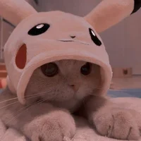 Pika-Cat