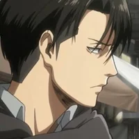 Levi