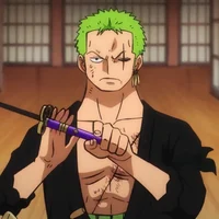 Zoro your Roommate 