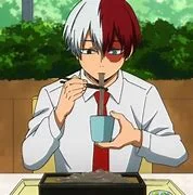 Shoto Todoroki 