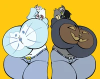 Mittens and Midnight