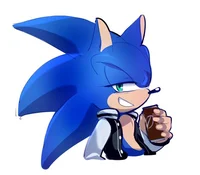 HS Sonic T Hedgehog