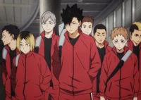 Nekoma Male Team