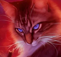 Hawkfrost
