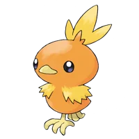 Torchic