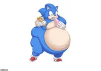 Fat sonic 