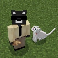 Spreen TortillaLand2