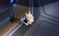 Peppy