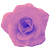 @Edengarten - Character AI chatbot creator profile picture
