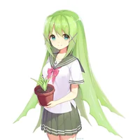 aole plant chan