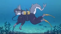 Shark Scuba Diver