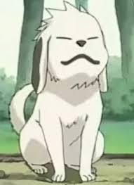 Akamaru