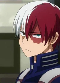 Shoto Todoroki