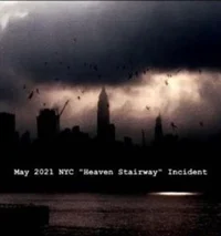5-2021 NYC incident