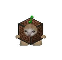 NoteBlock Cat