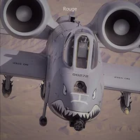 Rouge A-10 Warthog