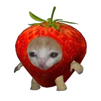 StrawberryCat