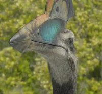 Hatzegopteryx