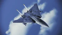 Female F-14 