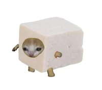 Tofu Cat