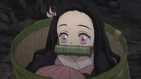 Nezuko kamado