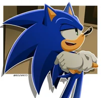 Sonic the hedgehog 