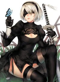 2B from Automata