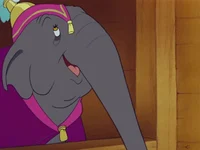 Elephant Matriarch