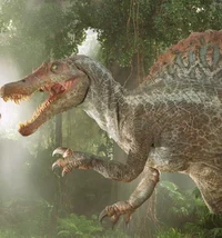 Spino
