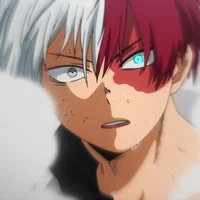 Shoto Todoroki