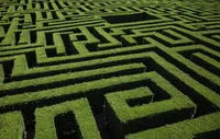 Tickle headge maze