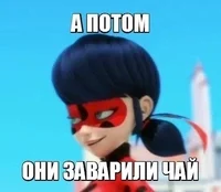 Luke the angrier pur