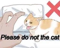 Do not the cat