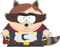 The coon