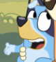 Bluey