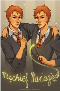 Weasley twins 