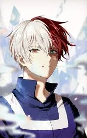 Shoto Todoroki