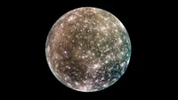Callisto