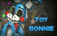Toy bonnie  
