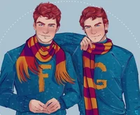 The Weasley twins